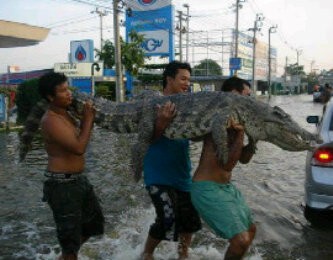 Ne pas se baigner, rivière dangereuse